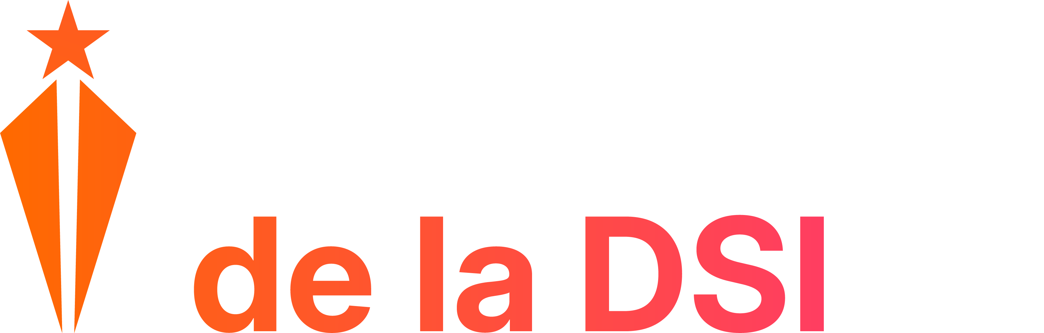 Les Rencontres de la DSI